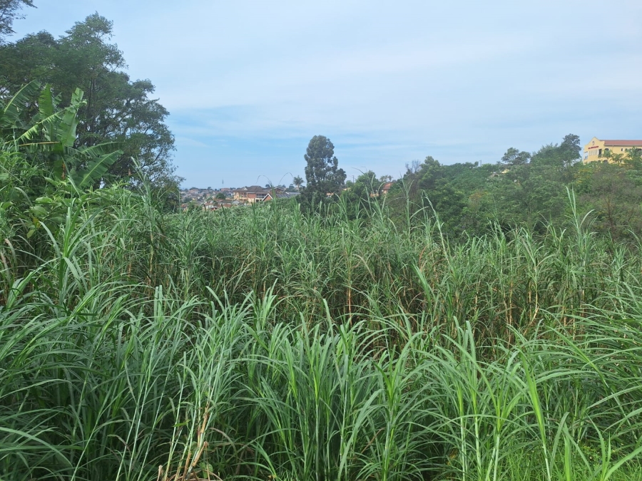 0 Bedroom Property for Sale in Belfort Estate KwaZulu-Natal