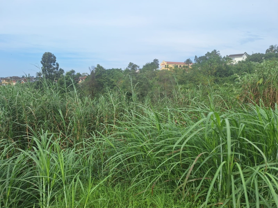 0 Bedroom Property for Sale in Belfort Estate KwaZulu-Natal