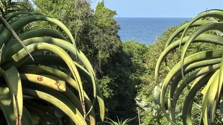 4 Bedroom Property for Sale in Prince