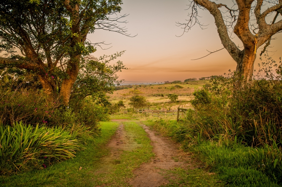 0 Bedroom Property for Sale in Sheffield Beach KwaZulu-Natal