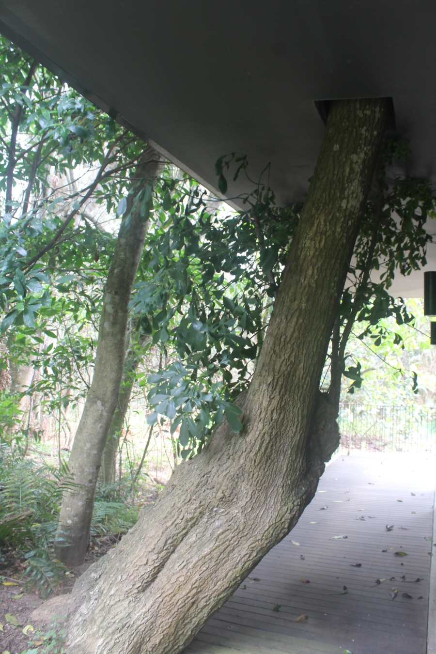 0 Bedroom Property for Sale in Elaleni Coastal Forest Estate KwaZulu-Natal