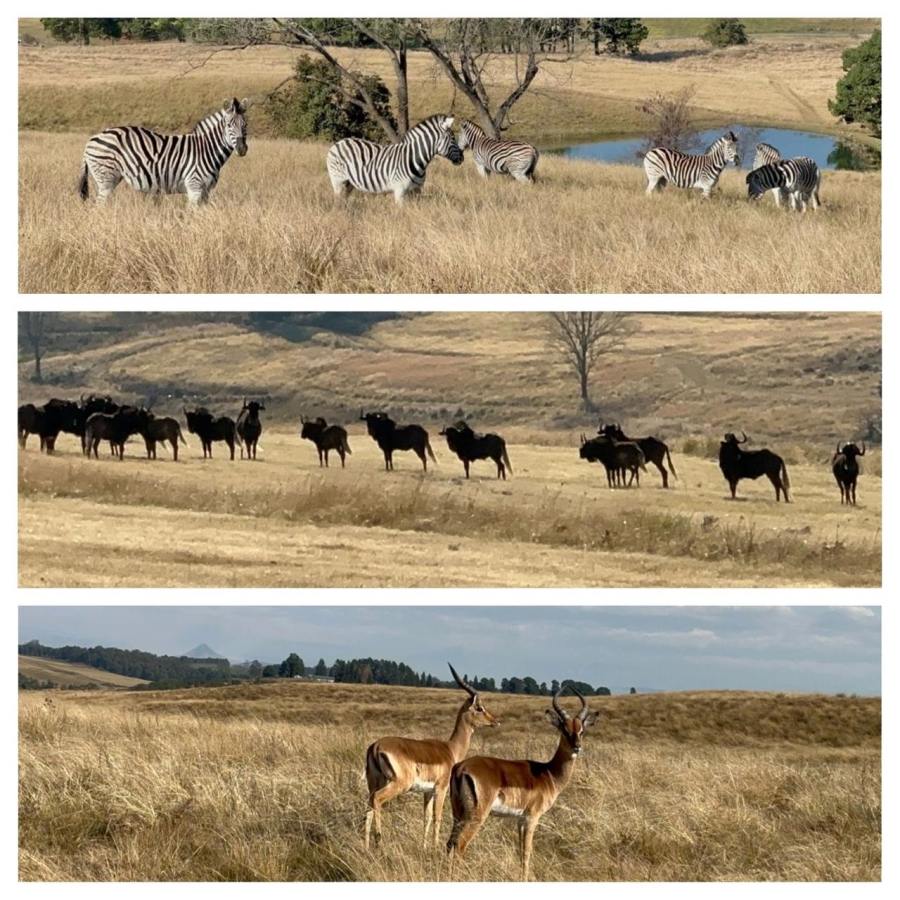 5 Bedroom Property for Sale in Eaglecrest Wildlife Estate KwaZulu-Natal