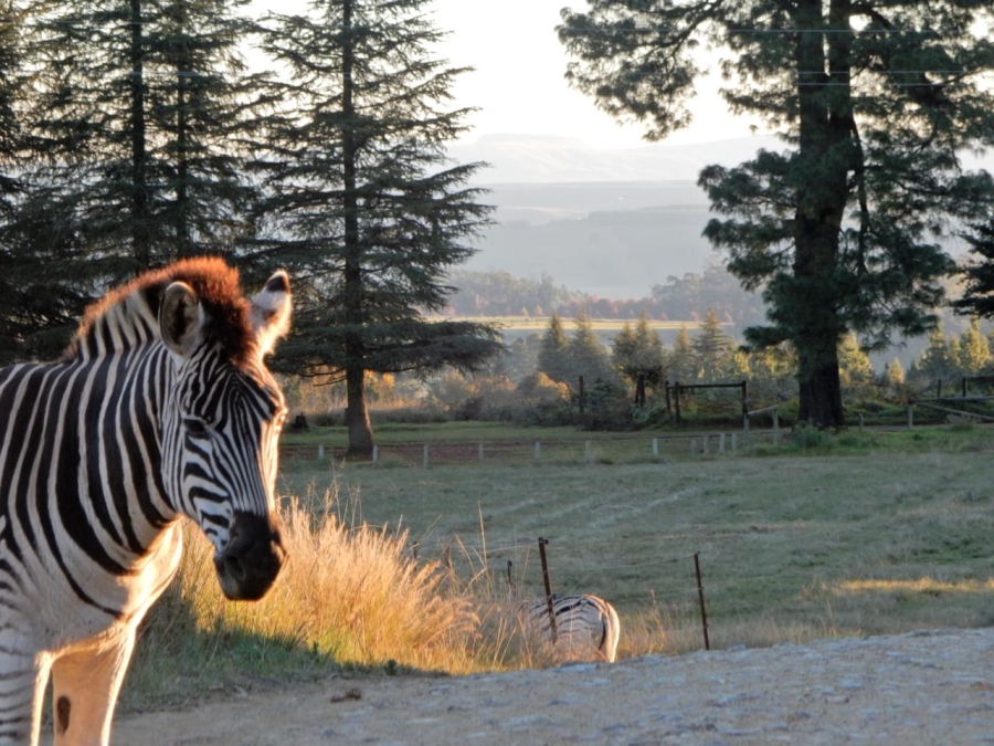 5 Bedroom Property for Sale in Eaglecrest Wildlife Estate KwaZulu-Natal