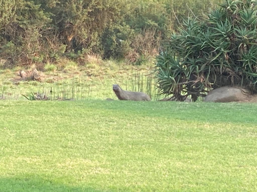 5 Bedroom Property for Sale in Eaglecrest Wildlife Estate KwaZulu-Natal