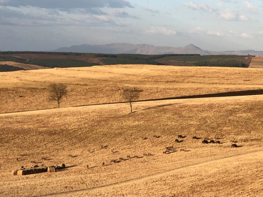5 Bedroom Property for Sale in Eaglecrest Wildlife Estate KwaZulu-Natal