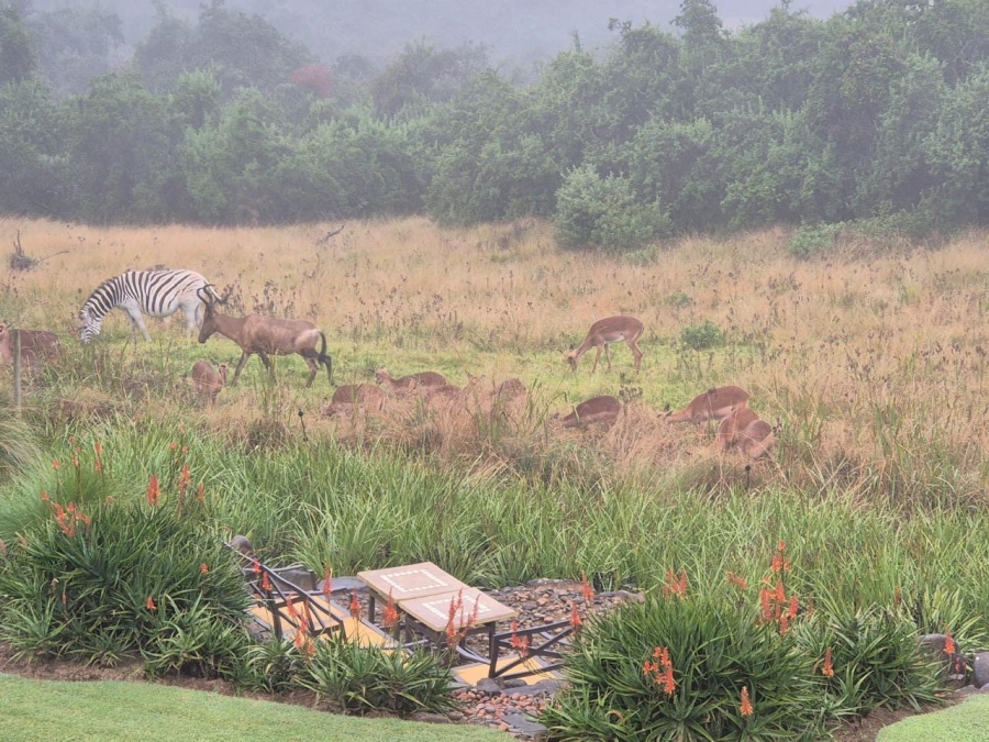 5 Bedroom Property for Sale in Eaglecrest Wildlife Estate KwaZulu-Natal