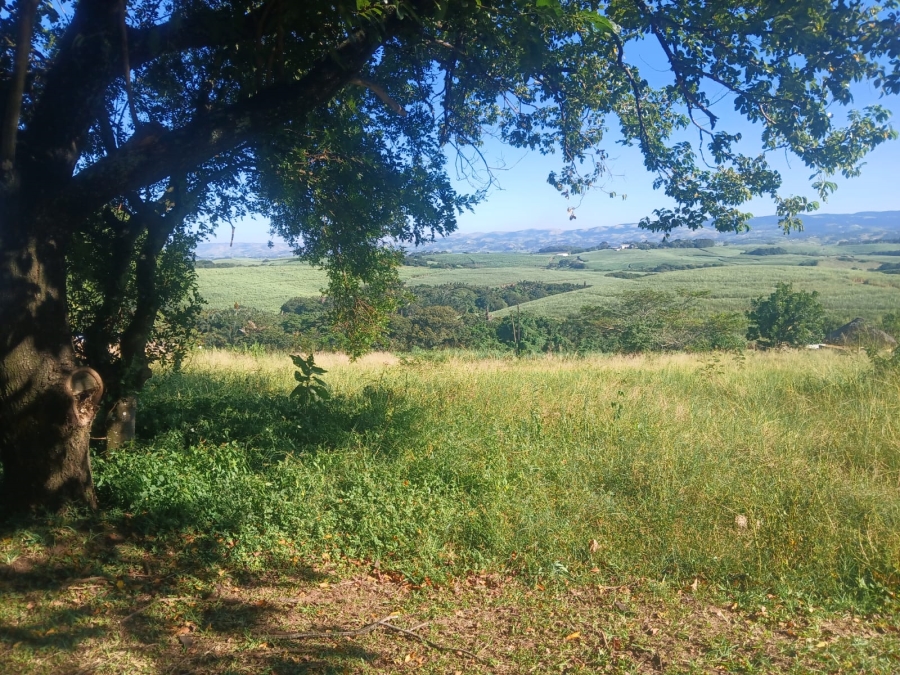 0 Bedroom Property for Sale in Mtunzini KwaZulu-Natal