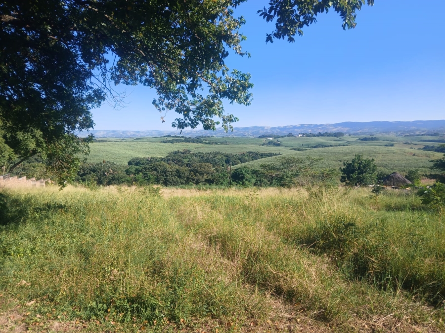 0 Bedroom Property for Sale in Mtunzini KwaZulu-Natal