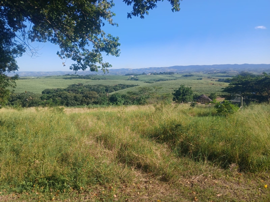 0 Bedroom Property for Sale in Mtunzini KwaZulu-Natal