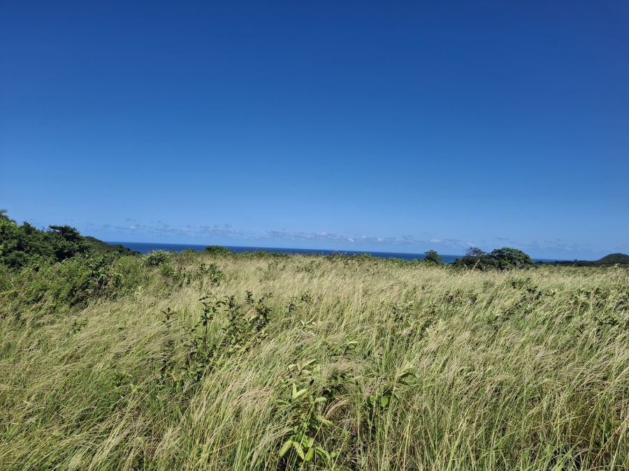 0 Bedroom Property for Sale in Banners Rest KwaZulu-Natal