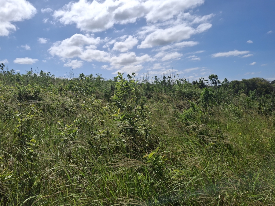 0 Bedroom Property for Sale in Banners Rest KwaZulu-Natal
