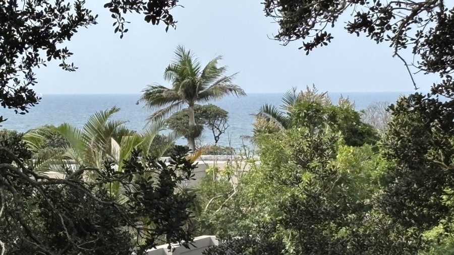 4 Bedroom Property for Sale in Zinkwazi Beach KwaZulu-Natal