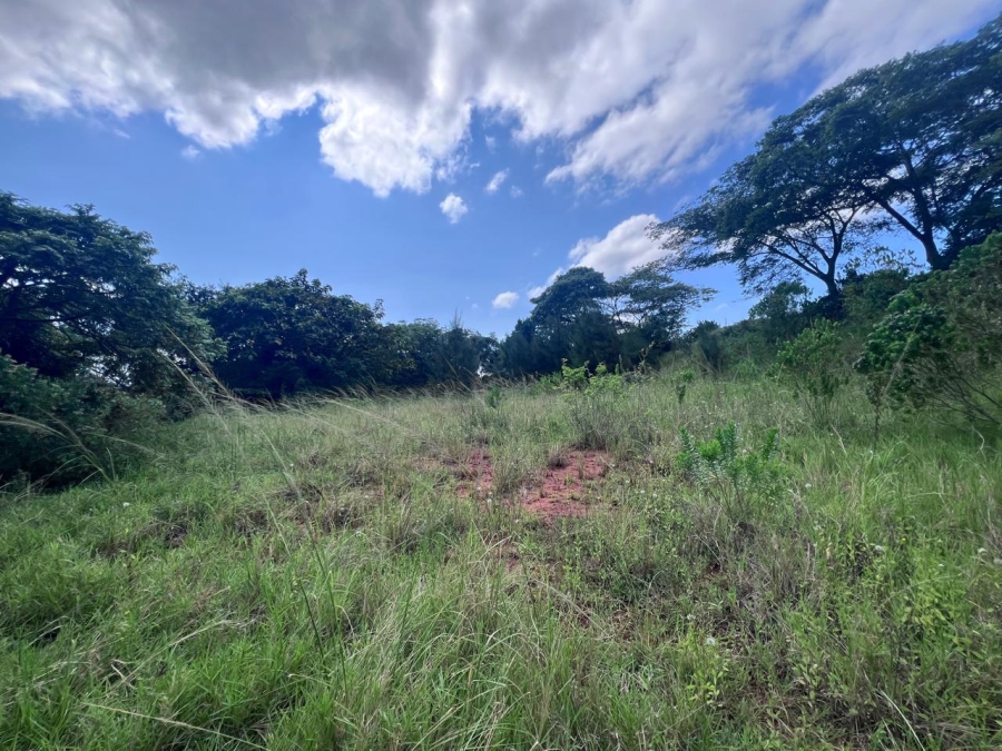 0 Bedroom Property for Sale in Zini River Estate KwaZulu-Natal