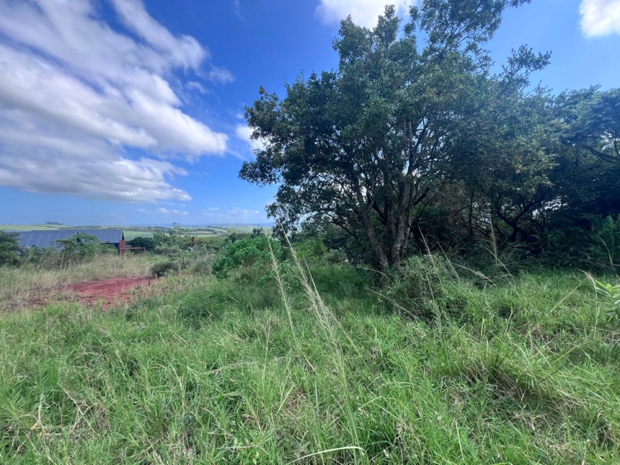 0 Bedroom Property for Sale in Zini River Estate KwaZulu-Natal