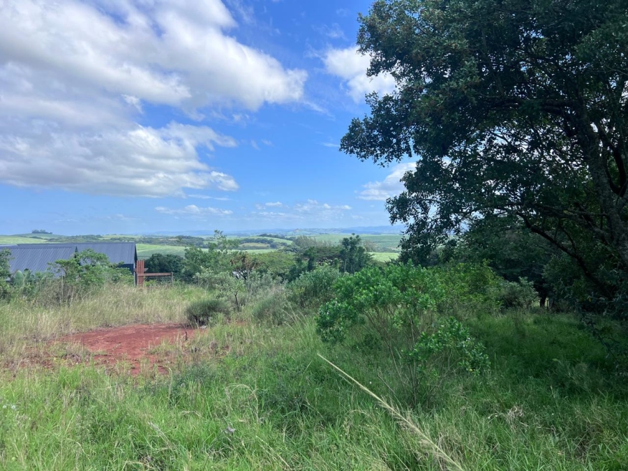 0 Bedroom Property for Sale in Zini River Estate KwaZulu-Natal