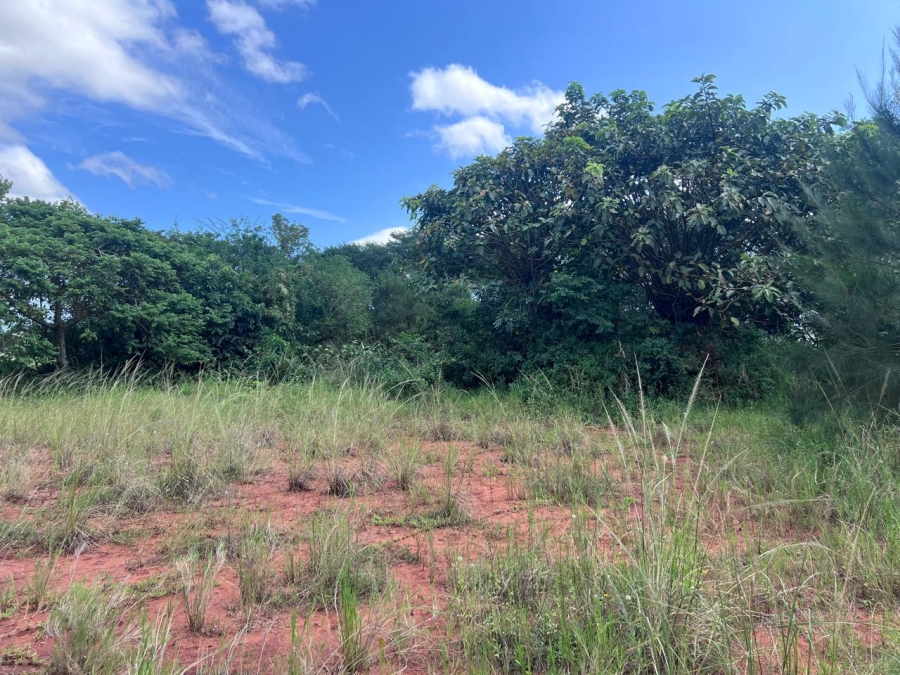 0 Bedroom Property for Sale in Zini River Estate KwaZulu-Natal
