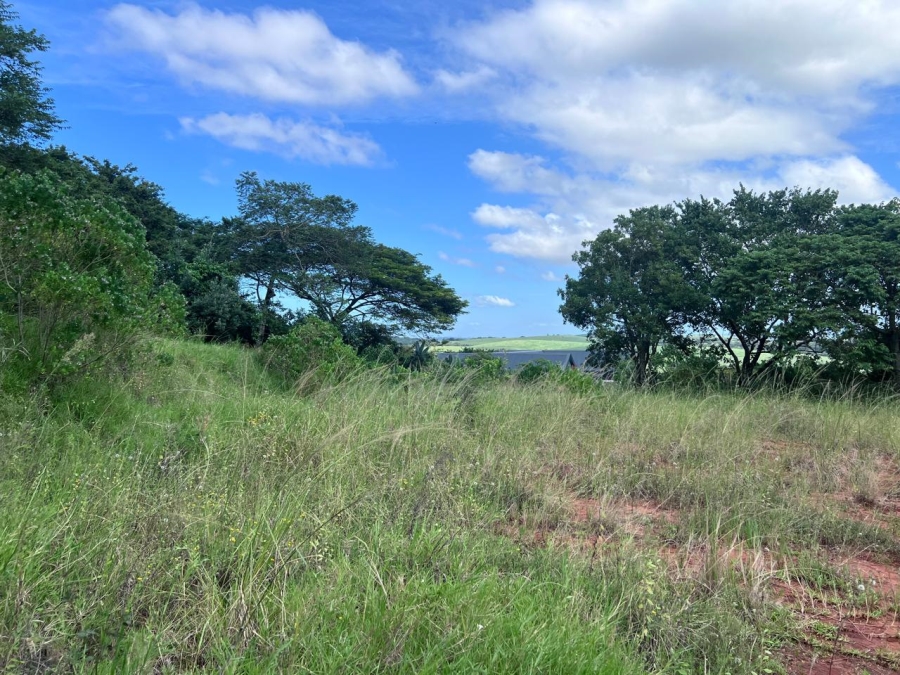 0 Bedroom Property for Sale in Zini River Estate KwaZulu-Natal