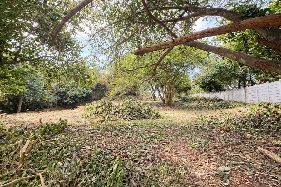 0 Bedroom Property for Sale in Mtunzini KwaZulu-Natal
