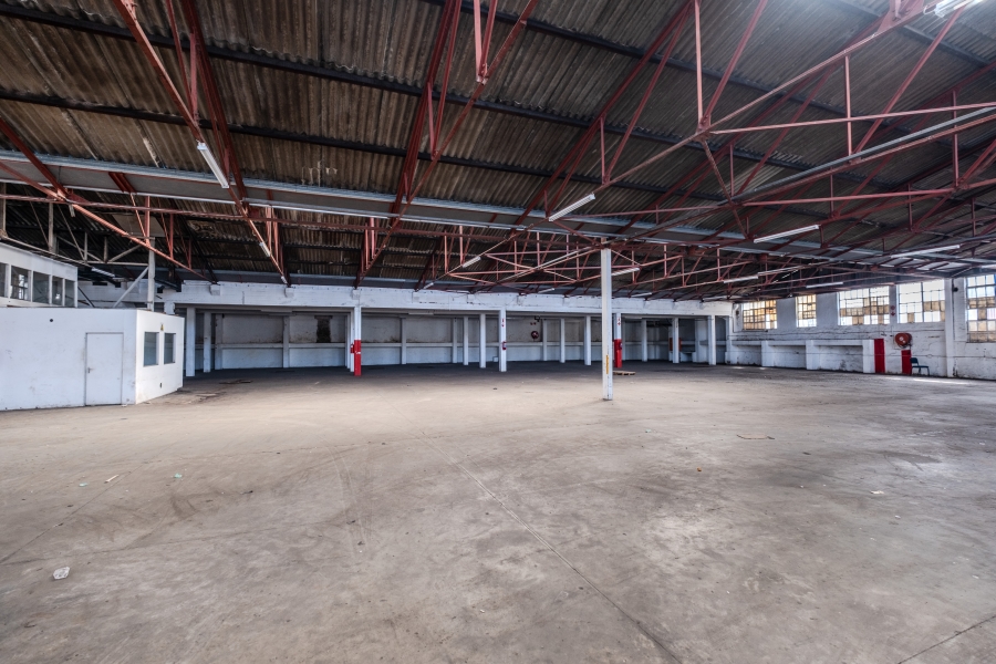 To Let Commercial Property for Rent in Congella KwaZulu-Natal