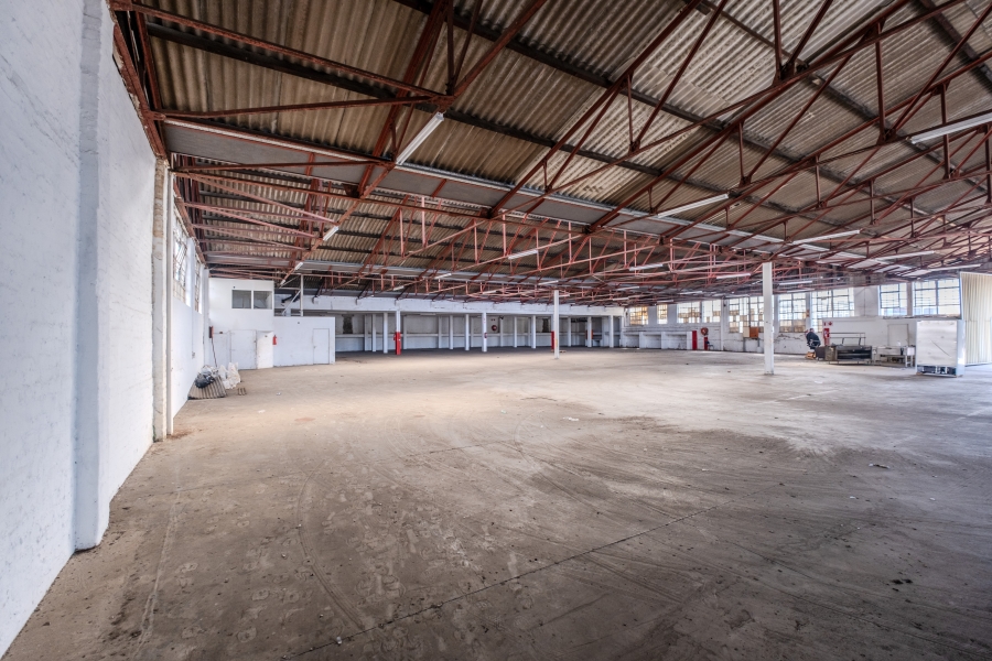 To Let Commercial Property for Rent in Congella KwaZulu-Natal