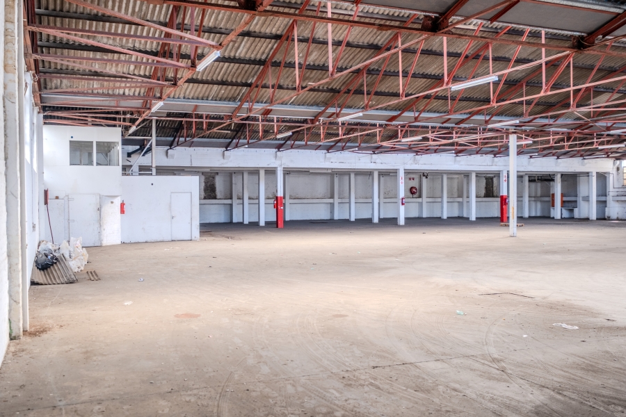 To Let Commercial Property for Rent in Congella KwaZulu-Natal