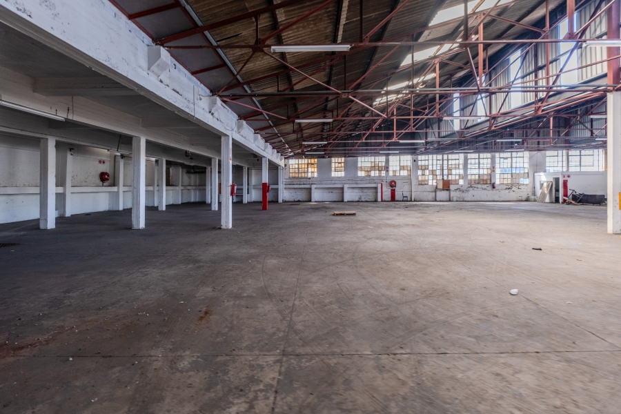 To Let Commercial Property for Rent in Congella KwaZulu-Natal