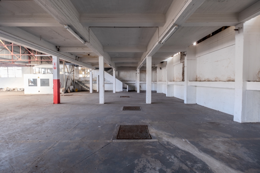 To Let Commercial Property for Rent in Congella KwaZulu-Natal