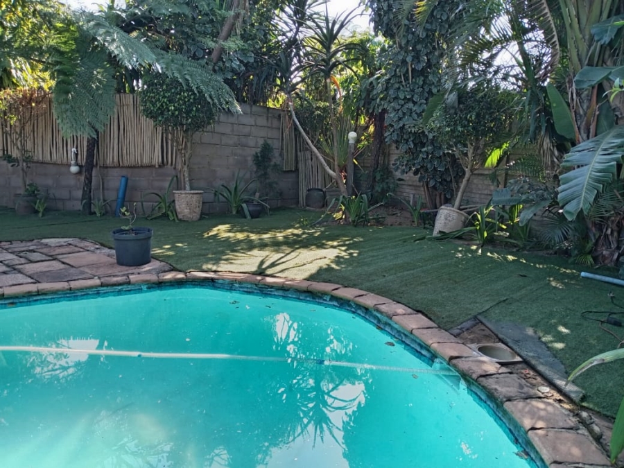 To Let 3 Bedroom Property for Rent in Arboretum KwaZulu-Natal