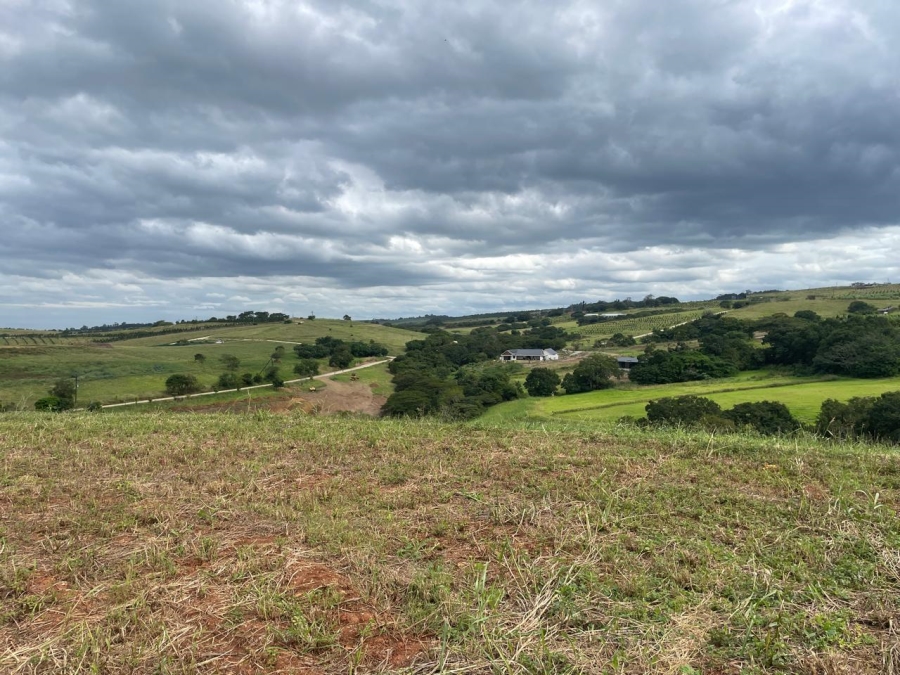 0 Bedroom Property for Sale in Fairview Estates KwaZulu-Natal