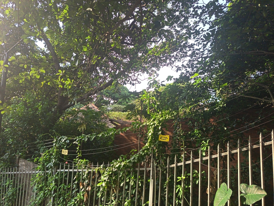 0 Bedroom Property for Sale in Wentworth KwaZulu-Natal