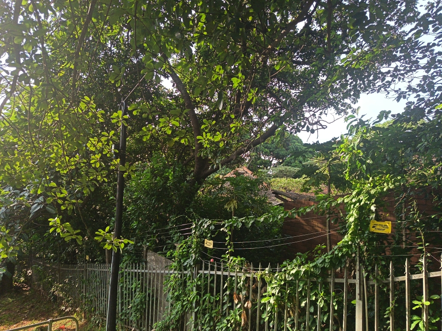 0 Bedroom Property for Sale in Wentworth KwaZulu-Natal