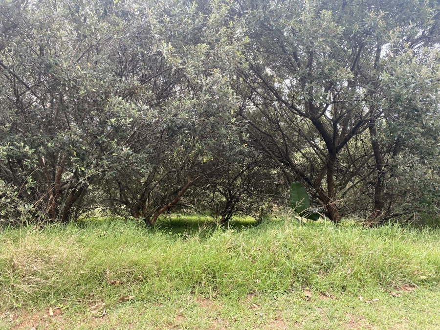 0 Bedroom Property for Sale in Simbithi Eco Estate KwaZulu-Natal