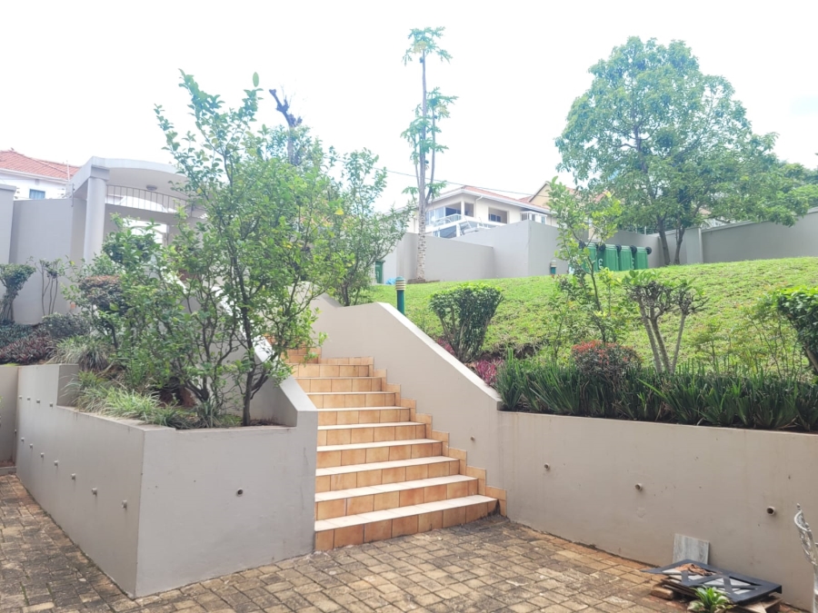 To Let 4 Bedroom Property for Rent in Musgrave KwaZulu-Natal