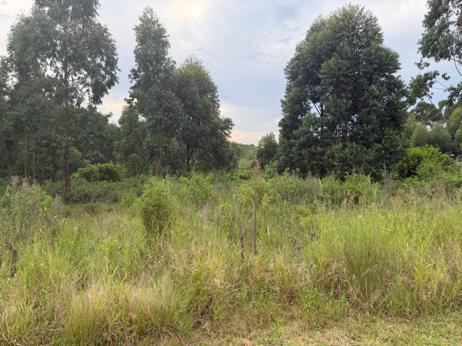 0 Bedroom Property for Sale in Elaleni Coastal Forest Estate KwaZulu-Natal