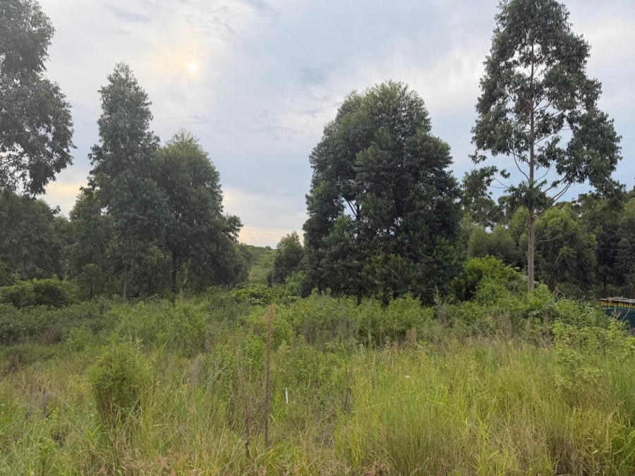 0 Bedroom Property for Sale in Elaleni Coastal Forest Estate KwaZulu-Natal
