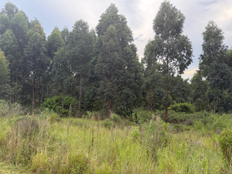0 Bedroom Property for Sale in Elaleni Coastal Forest Estate KwaZulu-Natal