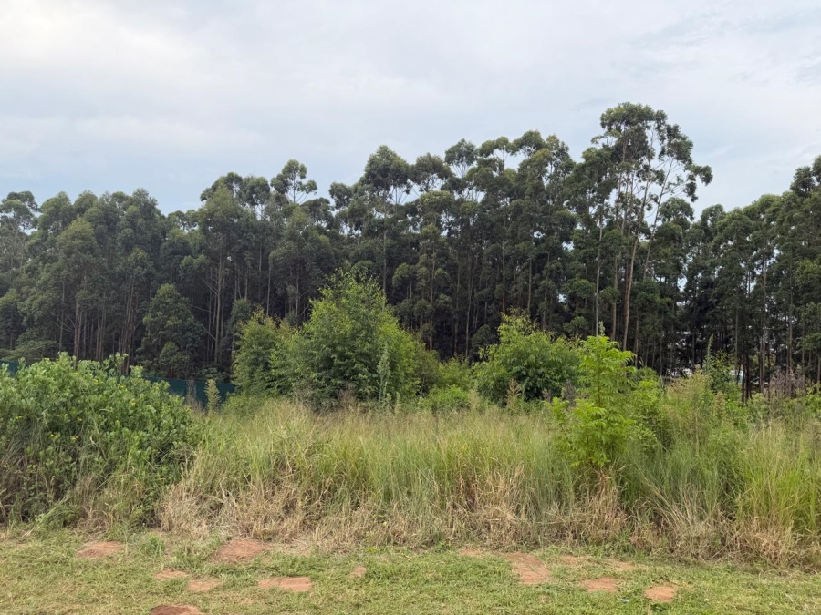 0 Bedroom Property for Sale in Elaleni Coastal Forest Estate KwaZulu-Natal