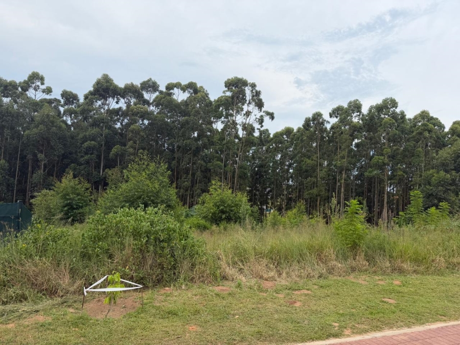 0 Bedroom Property for Sale in Elaleni Coastal Forest Estate KwaZulu-Natal