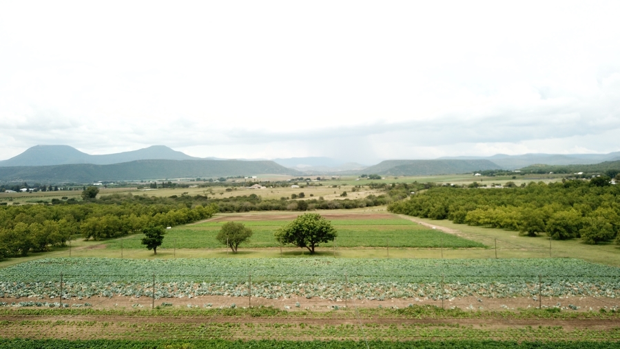 3 Bedroom Property for Sale in Weenen KwaZulu-Natal