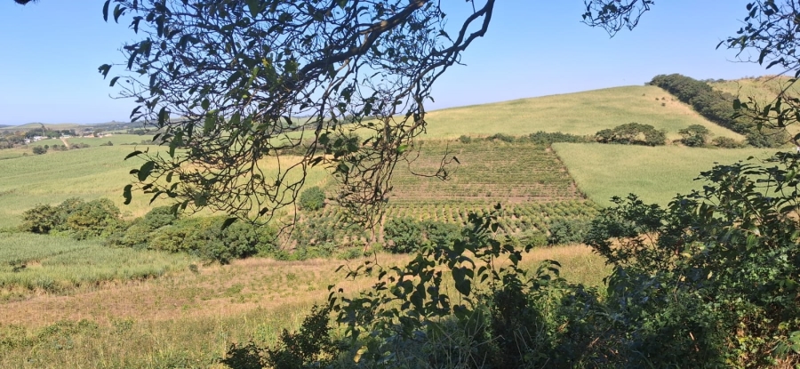 4 Bedroom Property for Sale in High Ridge KwaZulu-Natal