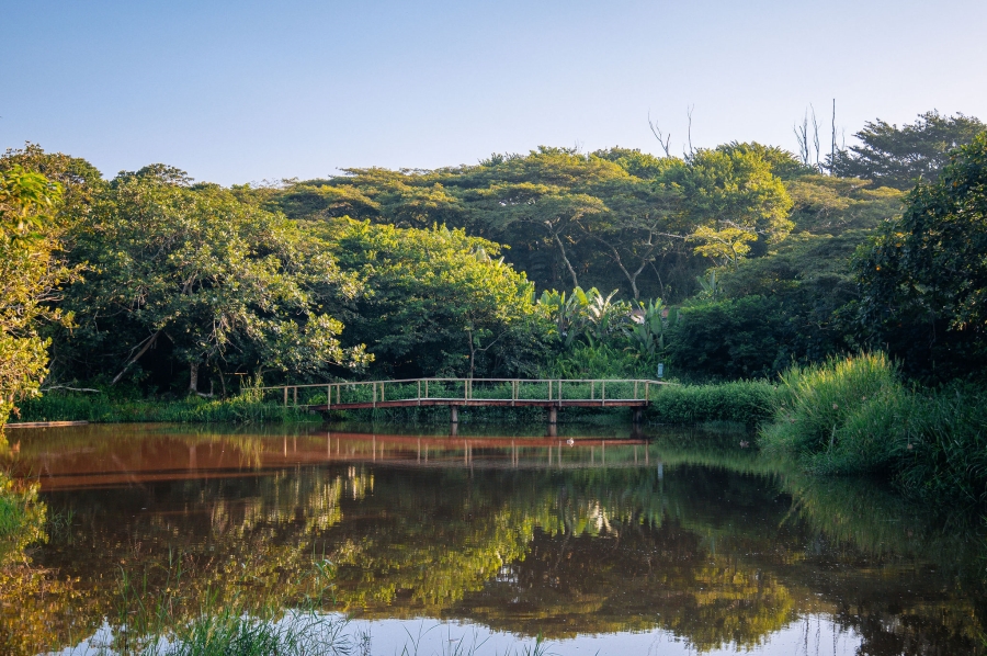 4 Bedroom Property for Sale in Elaleni Coastal Forest Estate KwaZulu-Natal