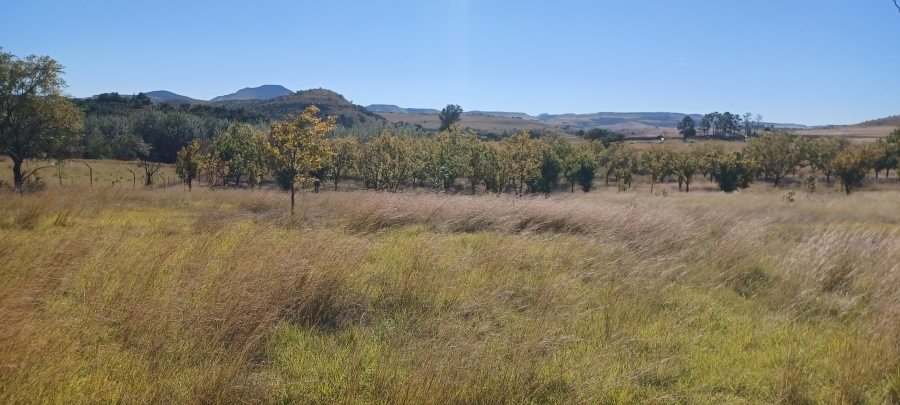 5 Bedroom Property for Sale in Newcastle Rural KwaZulu-Natal