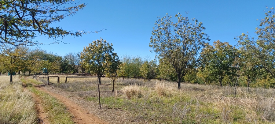 5 Bedroom Property for Sale in Newcastle Rural KwaZulu-Natal