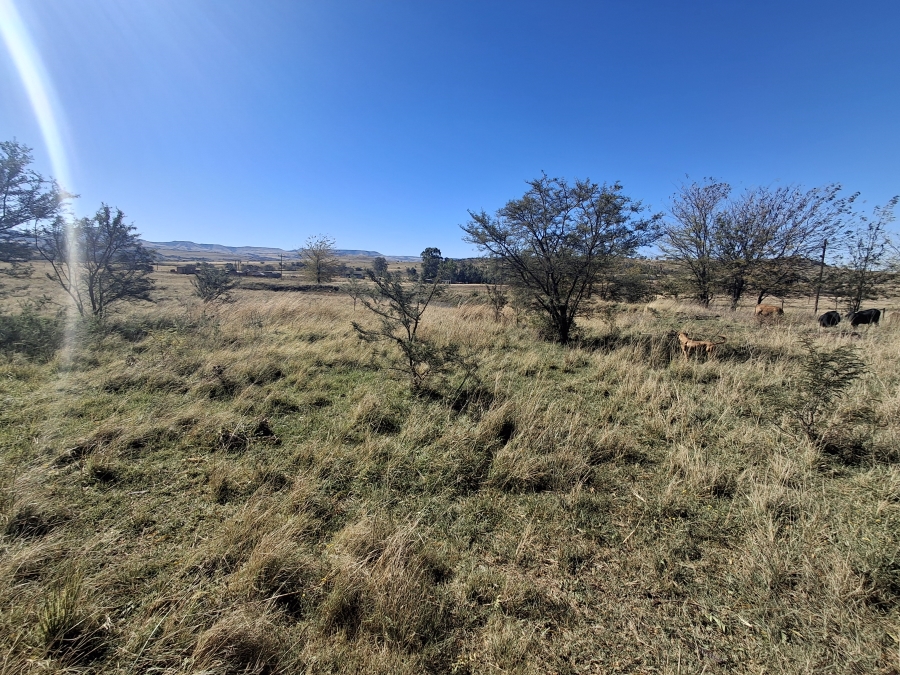 5 Bedroom Property for Sale in Newcastle Rural KwaZulu-Natal