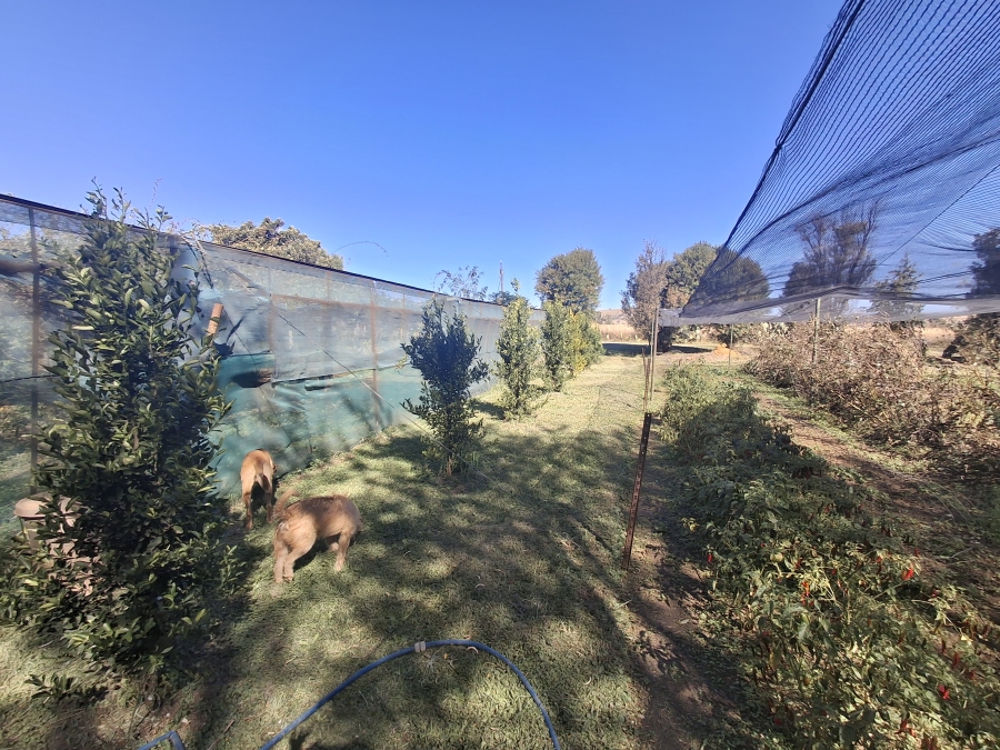 5 Bedroom Property for Sale in Newcastle Rural KwaZulu-Natal