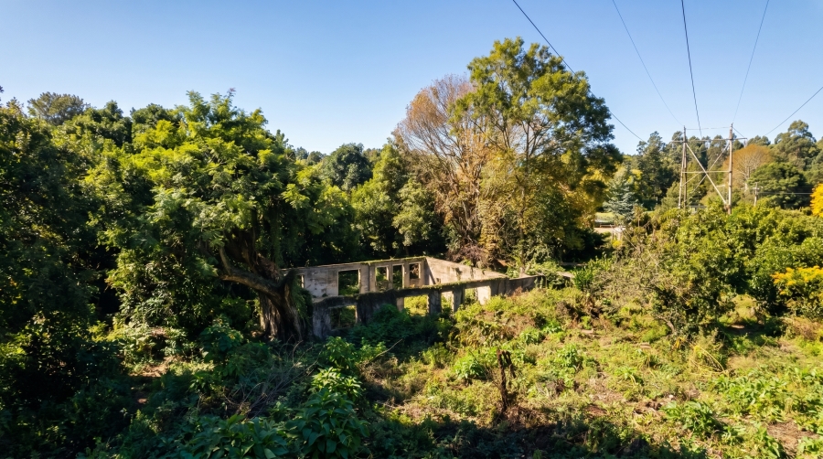 0 Bedroom Property for Sale in Merrivale KwaZulu-Natal