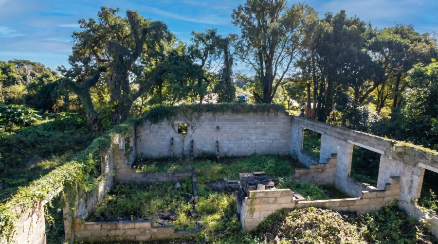 0 Bedroom Property for Sale in Merrivale KwaZulu-Natal