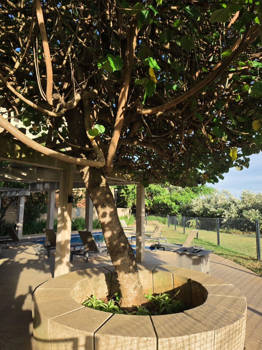 2 Bedroom Property for Sale in Zimbali Coastal Resort Estate KwaZulu-Natal