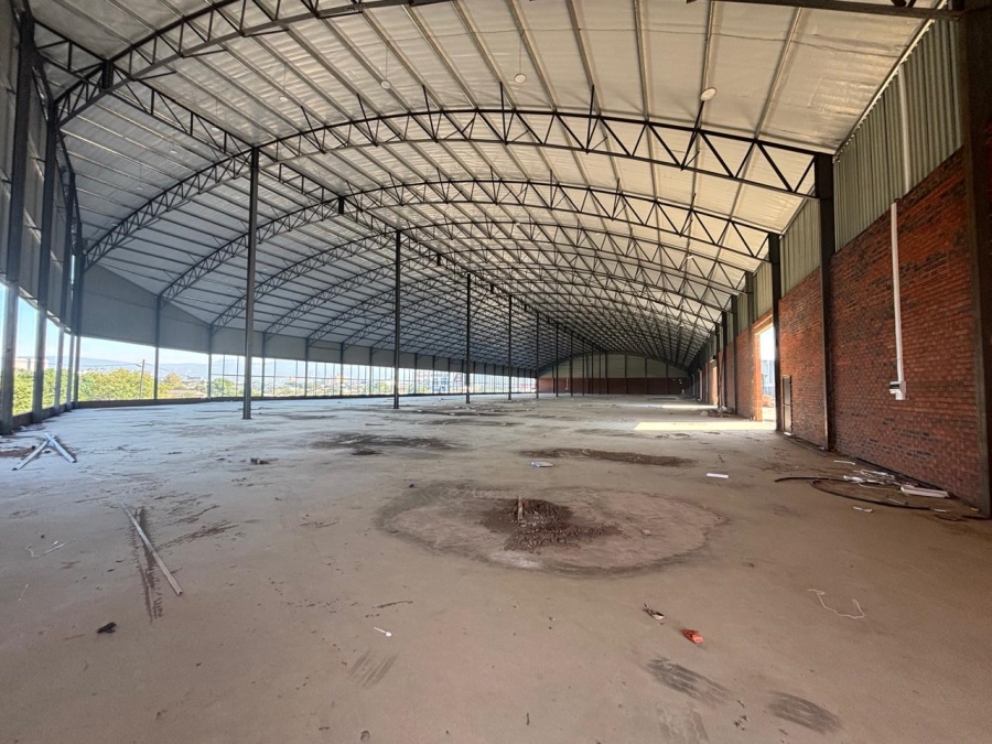 To Let Commercial Property for Rent in Willowton KwaZulu-Natal