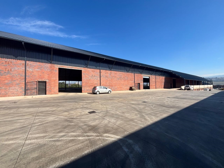To Let Commercial Property for Rent in Willowton KwaZulu-Natal